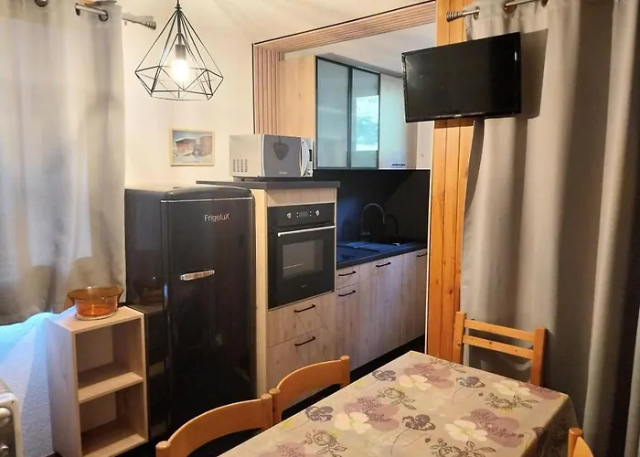 Le Chardonnet - A Deux Pas Du Centre Station Mae-9164 Appartement *